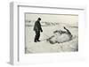 'Cherry-Garrard Giving His Pony 'Michael' A Roll in the Snow', c1911, (1913)-Herbert Ponting-Framed Photographic Print