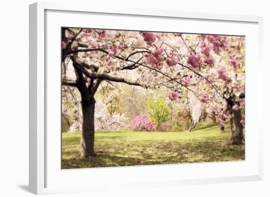 Cherry Hill Morning-Jessica Jenney-Framed Giclee Print