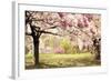 Cherry Hill Morning-Jessica Jenney-Framed Giclee Print