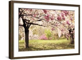 Cherry Hill Morning-Jessica Jenney-Framed Giclee Print