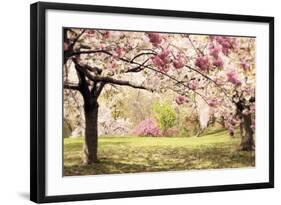 Cherry Hill Morning-Jessica Jenney-Framed Giclee Print