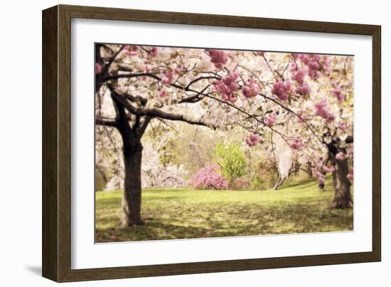 Cherry Hill Morning-Jessica Jenney-Framed Giclee Print