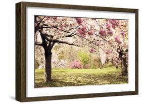 Cherry Hill Morning-Jessica Jenney-Framed Giclee Print