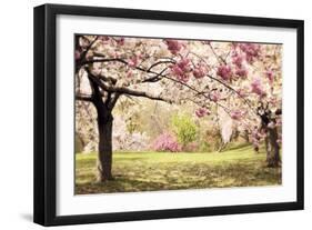 Cherry Hill Morning-Jessica Jenney-Framed Giclee Print