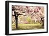 Cherry Hill Morning-Jessica Jenney-Framed Giclee Print