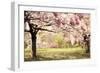 Cherry Hill Morning-Jessica Jenney-Framed Giclee Print