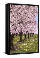 Cherry Orchard Blossoms-Lantern Press-Framed Stretched Canvas