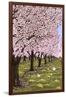 Cherry Orchard Blossoms-Lantern Press-Framed Art Print