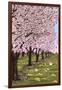 Cherry Orchard Blossoms-Lantern Press-Framed Art Print
