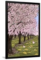 Cherry Orchard Blossoms-Lantern Press-Framed Art Print