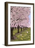 Cherry Orchard Blossoms-Lantern Press-Framed Art Print