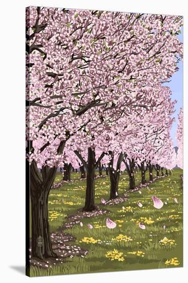 Cherry Orchard Blossoms-Lantern Press-Stretched Canvas