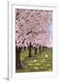 Cherry Orchard Blossoms-Lantern Press-Framed Art Print