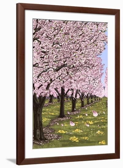 Cherry Orchard Blossoms-Lantern Press-Framed Art Print