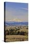 Cherry Orchards of the Oregon Columbia Gorge with Mt. Hood in the Back Drop-Terry Eggers-Stretched Canvas