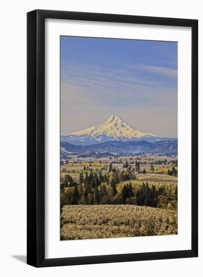 Cherry Orchards of the Oregon Columbia Gorge with Mt. Hood in the Back Drop-Terry Eggers-Framed Premium Photographic Print