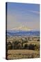 Cherry Orchards of the Oregon Columbia Gorge with Mt. Hood in the Back Drop-Terry Eggers-Stretched Canvas