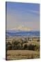Cherry Orchards of the Oregon Columbia Gorge with Mt. Hood in the Back Drop-Terry Eggers-Stretched Canvas