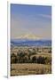 Cherry Orchards of the Oregon Columbia Gorge with Mt. Hood in the Back Drop-Terry Eggers-Framed Photographic Print