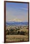 Cherry Orchards of the Oregon Columbia Gorge with Mt. Hood in the Back Drop-Terry Eggers-Framed Photographic Print