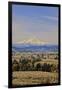 Cherry Orchards of the Oregon Columbia Gorge with Mt. Hood in the Back Drop-Terry Eggers-Framed Photographic Print