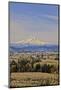 Cherry Orchards of the Oregon Columbia Gorge with Mt. Hood in the Back Drop-Terry Eggers-Mounted Photographic Print