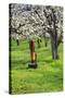 Cherry Orchards of the Oregon Columbia Gorge-Terry Eggers-Stretched Canvas