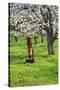 Cherry Orchards of the Oregon Columbia Gorge-Terry Eggers-Stretched Canvas