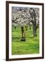 Cherry Orchards of the Oregon Columbia Gorge-Terry Eggers-Framed Premium Photographic Print