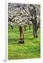 Cherry Orchards of the Oregon Columbia Gorge-Terry Eggers-Framed Premium Photographic Print