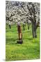 Cherry Orchards of the Oregon Columbia Gorge-Terry Eggers-Mounted Premium Photographic Print