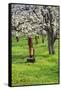 Cherry Orchards of the Oregon Columbia Gorge-Terry Eggers-Framed Stretched Canvas