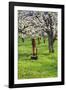 Cherry Orchards of the Oregon Columbia Gorge-Terry Eggers-Framed Photographic Print