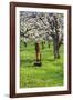 Cherry Orchards of the Oregon Columbia Gorge-Terry Eggers-Framed Photographic Print