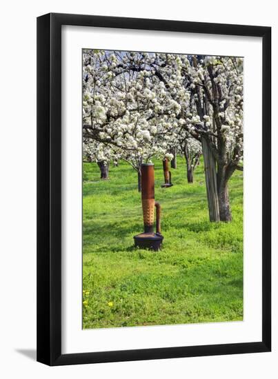 Cherry Orchards of the Oregon Columbia Gorge-Terry Eggers-Framed Photographic Print