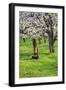 Cherry Orchards of the Oregon Columbia Gorge-Terry Eggers-Framed Photographic Print