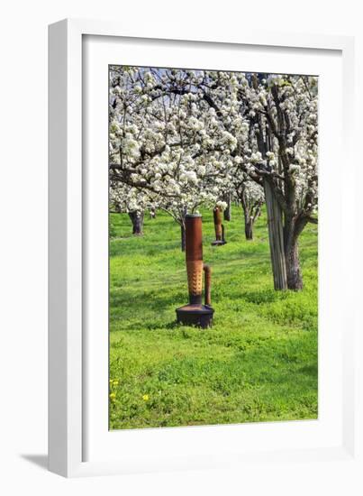 Cherry Orchards of the Oregon Columbia Gorge-Terry Eggers-Framed Photographic Print