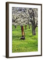 Cherry Orchards of the Oregon Columbia Gorge-Terry Eggers-Framed Photographic Print