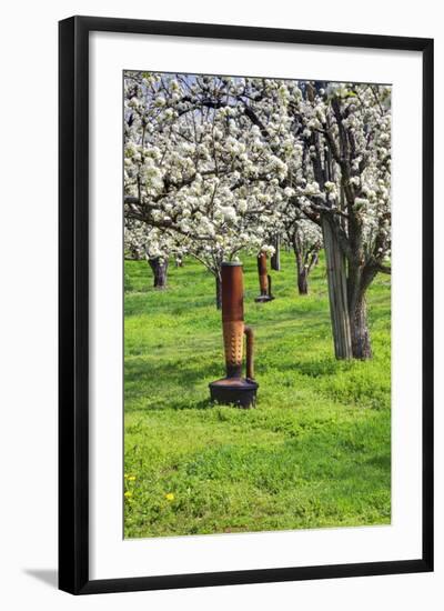 Cherry Orchards of the Oregon Columbia Gorge-Terry Eggers-Framed Photographic Print