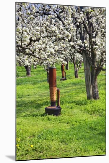 Cherry Orchards of the Oregon Columbia Gorge-Terry Eggers-Mounted Photographic Print