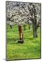 Cherry Orchards of the Oregon Columbia Gorge-Terry Eggers-Mounted Photographic Print