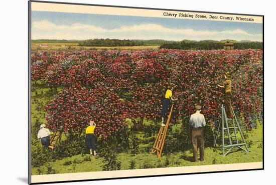 Cherry Picking, Door County, Wisconsin-null-Mounted Art Print