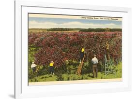 Cherry Picking, Door County, Wisconsin-null-Framed Premium Giclee Print