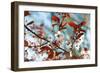 Cherry Plum Flowers in Spring-Skaya-Framed Photographic Print