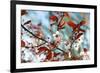 Cherry Plum Flowers in Spring-Skaya-Framed Photographic Print