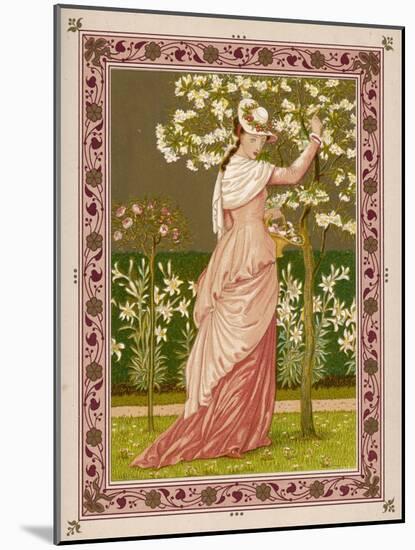 Cherry Ripe: a Pretty Lady in a Pink Dress Stands in Front of a Tree Full of Blossom-null-Mounted Art Print