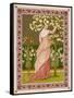 Cherry Ripe: a Pretty Lady in a Pink Dress Stands in Front of a Tree Full of Blossom-null-Framed Stretched Canvas