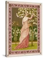 Cherry Ripe: a Pretty Lady in a Pink Dress Stands in Front of a Tree Full of Blossom-null-Stretched Canvas