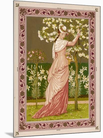 Cherry Ripe: a Pretty Lady in a Pink Dress Stands in Front of a Tree Full of Blossom-null-Mounted Art Print