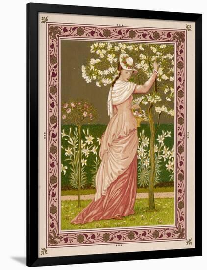 Cherry Ripe: a Pretty Lady in a Pink Dress Stands in Front of a Tree Full of Blossom-null-Framed Art Print